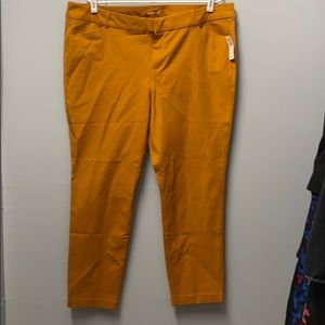 Mustard Ankle Pixie Pants